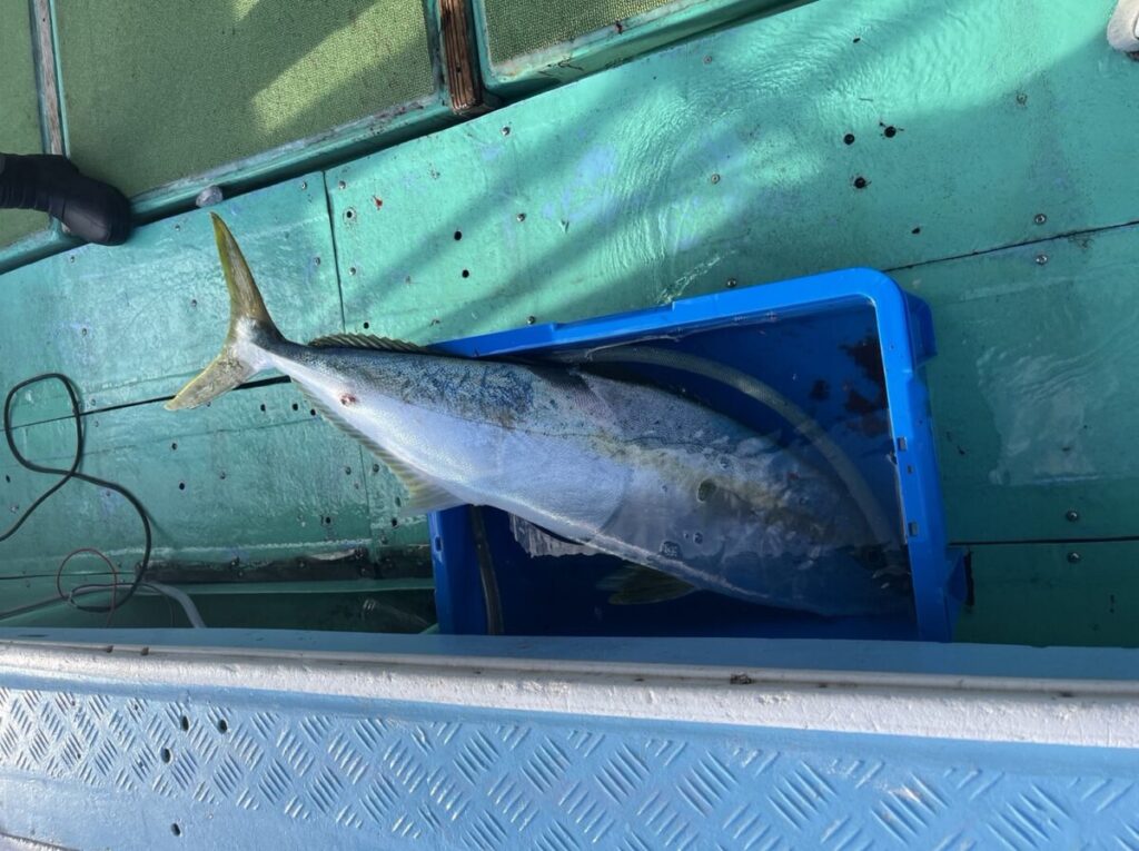 大きな魚が船のデッキにある青い容器の中に横たわっています。