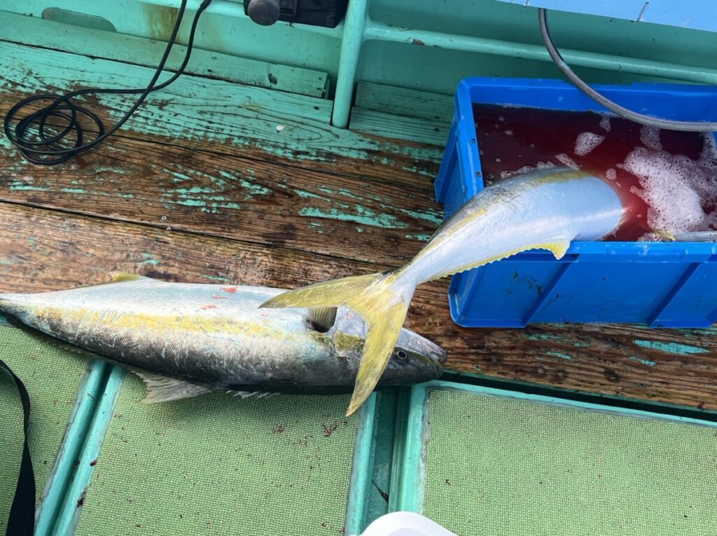 2匹の魚が船上に横たわっています