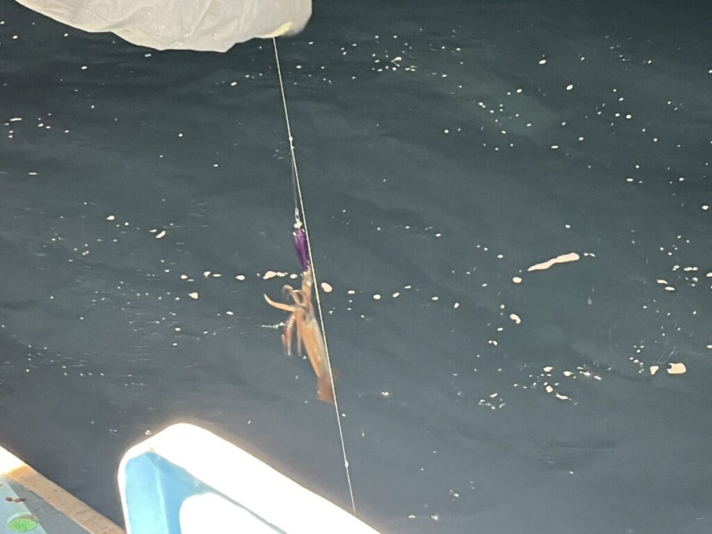 夜の暗い海の上に釣り糸にぶら下がったイカが、近くの船からの明るい光に照らされています。