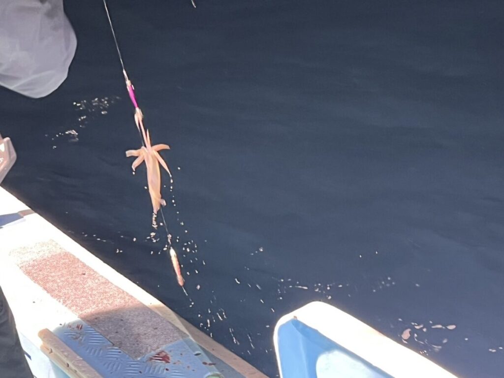 濃い青色の水面の上、船の端のデッキと手すりの一部が見える場所に、イカが釣り糸でぶら下がっています。