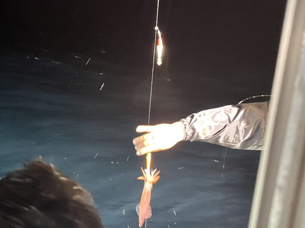 夜、船の上で釣り糸を手にした人が、暗い水面から小さなイカを引き上げている。その光景は明るい光に照らされている。