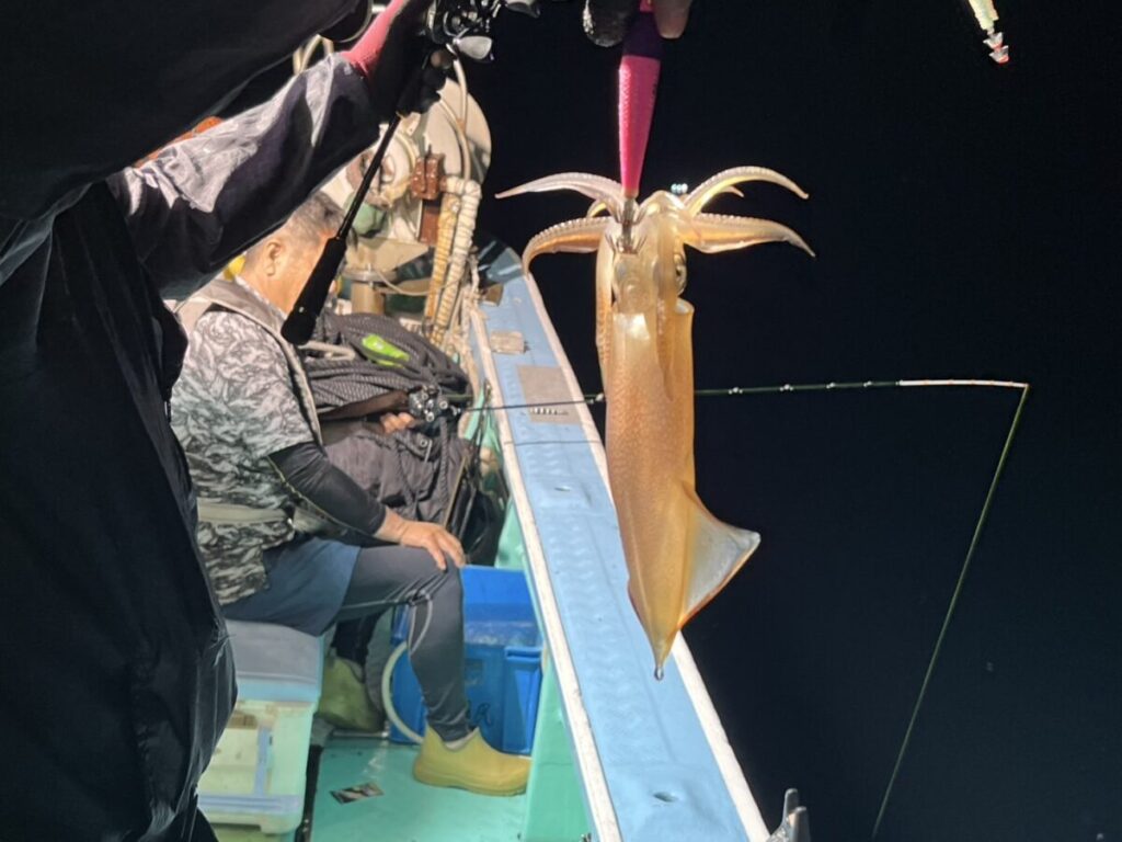 夜、船の上で釣ったばかりのイカを釣り竿で持ち上げている人がいます。