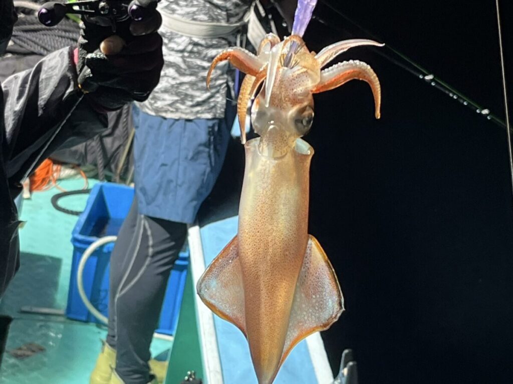 夜、船の上で釣り糸に釣れたばかりのイカがぶら下がっており、背景には手袋をはめた人の手が釣り糸と船の装備を握っているのが見える。
