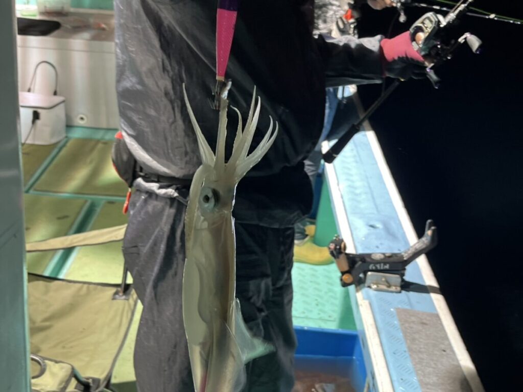 暗い服を着た人物が、夜、船の上で釣りをしている。釣り竿を持ち、イカが釣り糸にかかっている。
