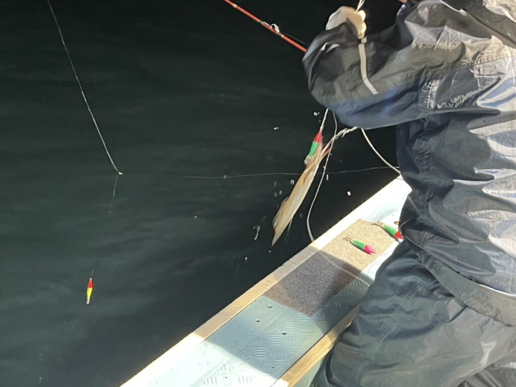 暗いレインスーツを着た人が夜、船からイカを釣り上げている。水面は暗く、船べりには釣り道具が見える。.