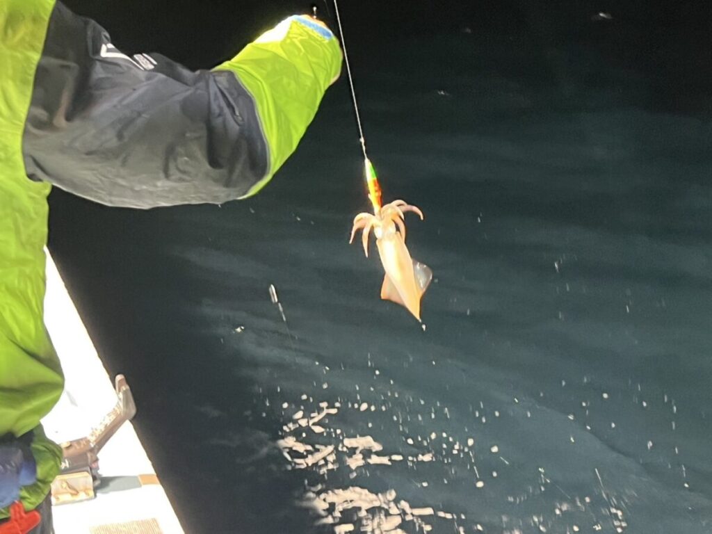 緑色のジャケットを着た人が釣り竿を手に、夜の暗い水面からイカを釣り上げている。イカは釣りルアーに引っ掛かり、波打つ水面からぶら下がっている。
