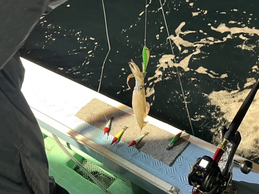 ボートに乗っている人が釣り竿でイカを釣り上げました。イカは金属製のデッキの上にある緑とオレンジ色のルアーにぶら下がっており、近くには他にも釣りルアーがいくつか置かれています。水面は暗く、白い波紋が広がっています。