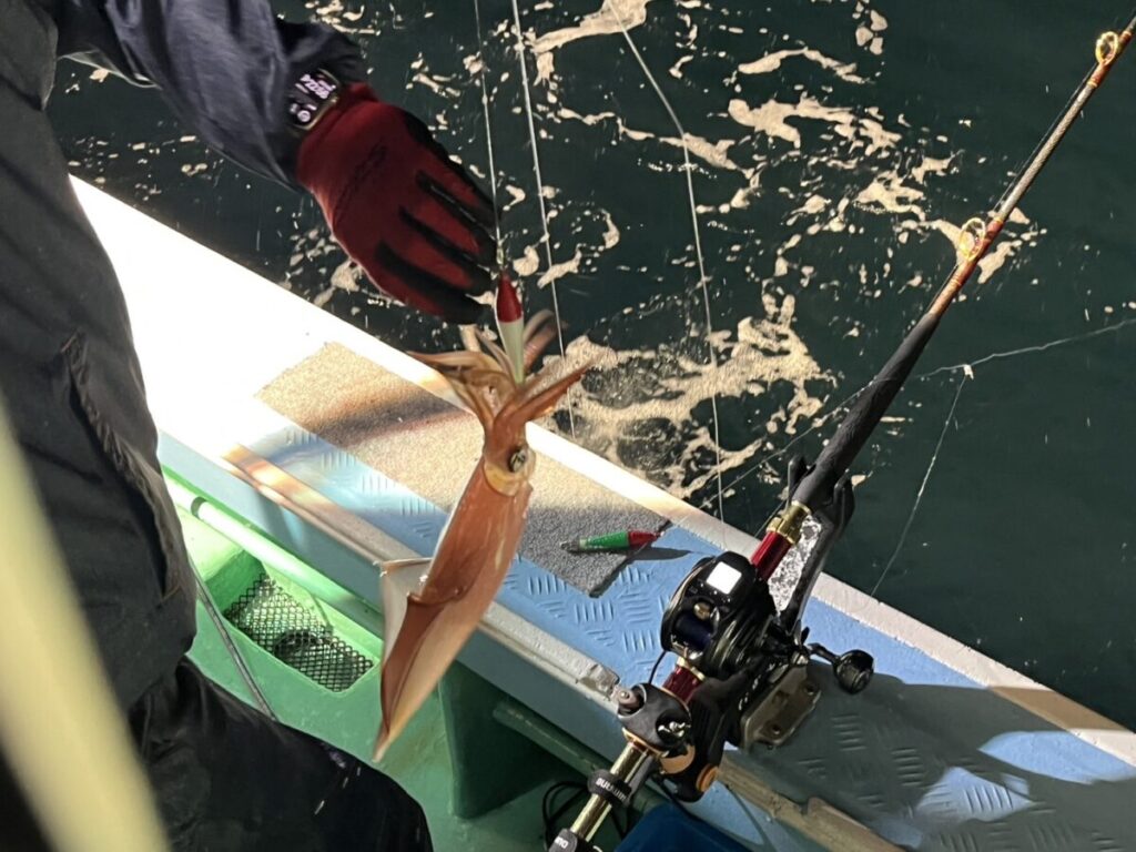赤い手袋をはめた人が、ボートの上の釣り竿の横で釣り糸にかかったイカを抱えており、背景には水が見える。
