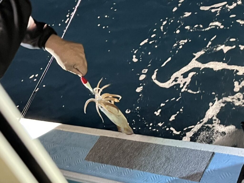 釣り竿を持った人がイカを釣り上げ、ボートの横の青い海水から引き上げている。.
