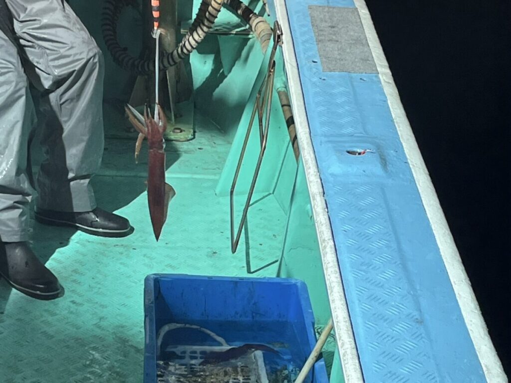 船の甲板に置かれた青い木箱の上に、イカのついた釣り糸を持った人物が立っている。この光景は夜間、人工照明の下で撮影されたと思われる。.