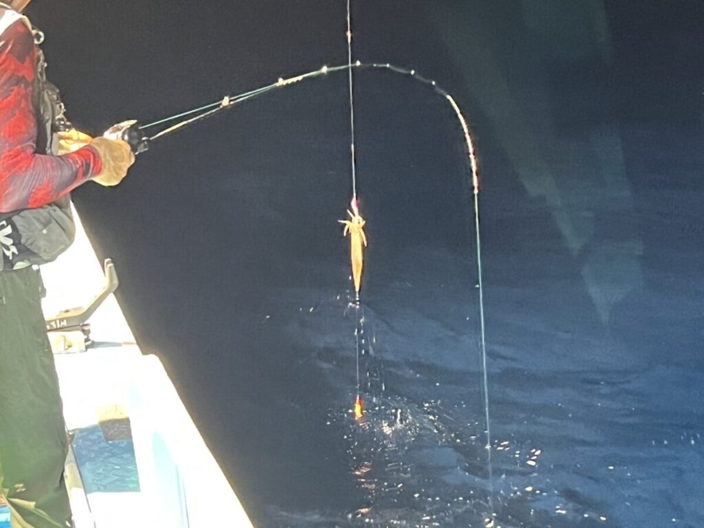 ボートに乗った人が夜釣りをし、紺色の海の上で釣り糸を垂れているイカを巻き上げている。