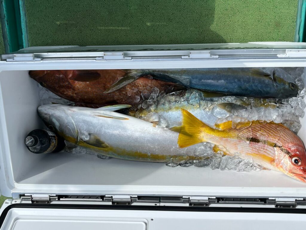 氷で満たされたクーラーには、黄色、ピンク、青などさまざまな色と大きさの釣りたての魚が数匹収められている。