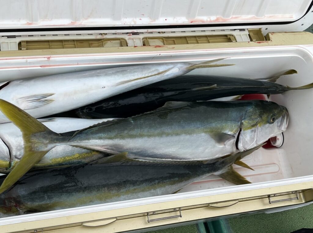 クーラーの蓋の内側は血で汚れている。.