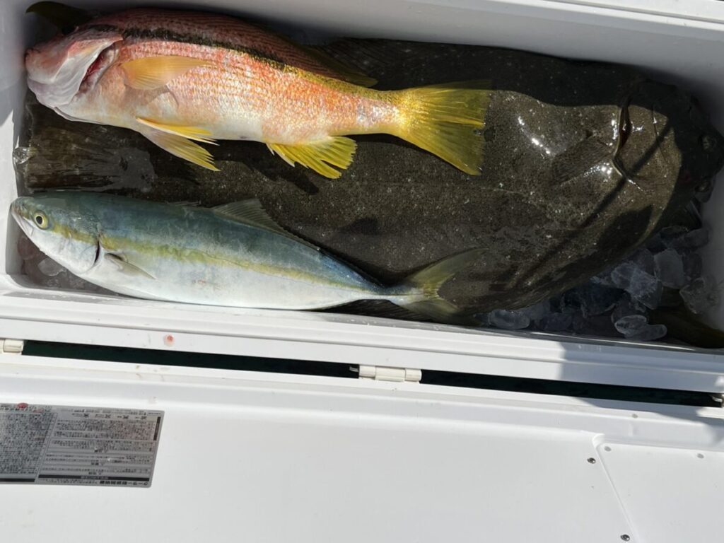 氷の入った白いクーラーの中に3匹の魚がいる。上は黄色とピンクの魚、下は黒くて平たい大きな魚、下は黄色のストライプが入った銀色の青い魚だ。.