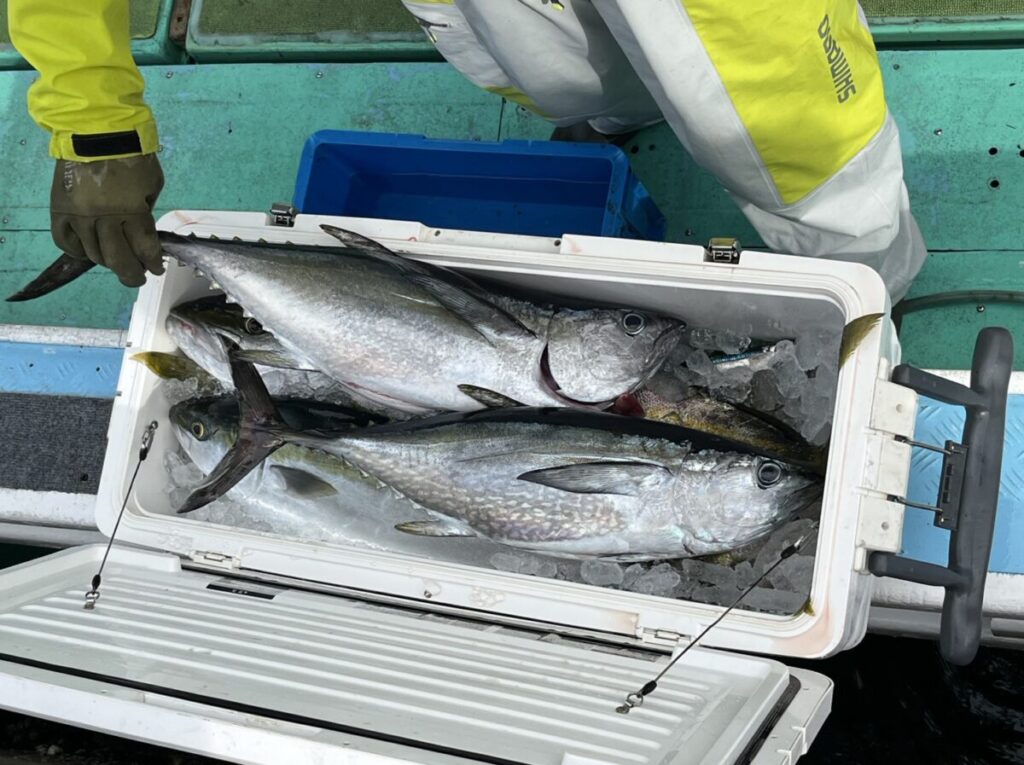 釣りたての大きな魚が何匹も入ったクーラーが、ボートのデッキで開いている。黄色と白の漁具を身につけた人が、手袋をはめた手で近くに立っている。.