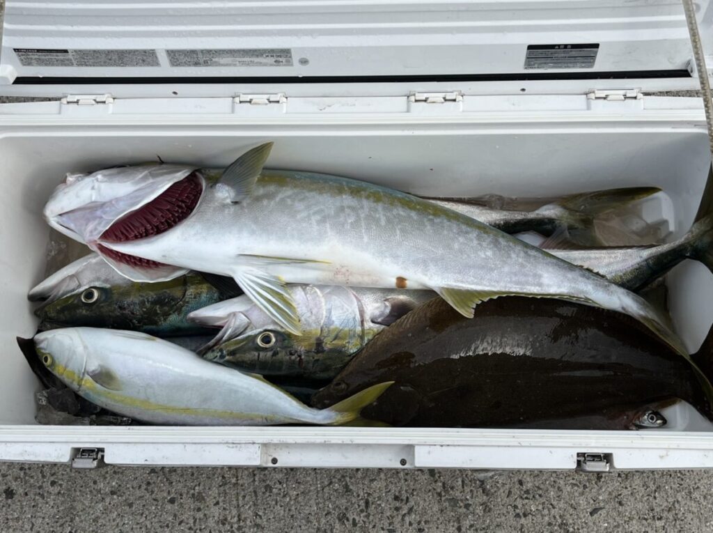 大きな銀魚や黄魚、平べったい黒魚など、大小さまざまな獲れたての魚が数匹、氷の上に並べられた白いクーラー。クーラーは開け放たれ、コンクリートの上に置かれている。.