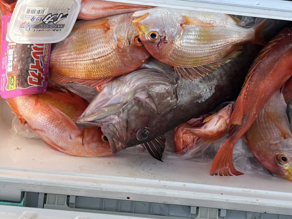 クーラーの中には、赤、オレンジ、グレーなど、さまざまな種類と色の獲れたての魚が何匹も入っている。クーラーの中には日本語のラベルが貼られた水産加工品も見える。.