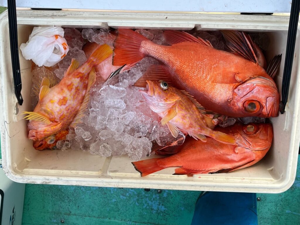 氷に入った魚のトレイ.