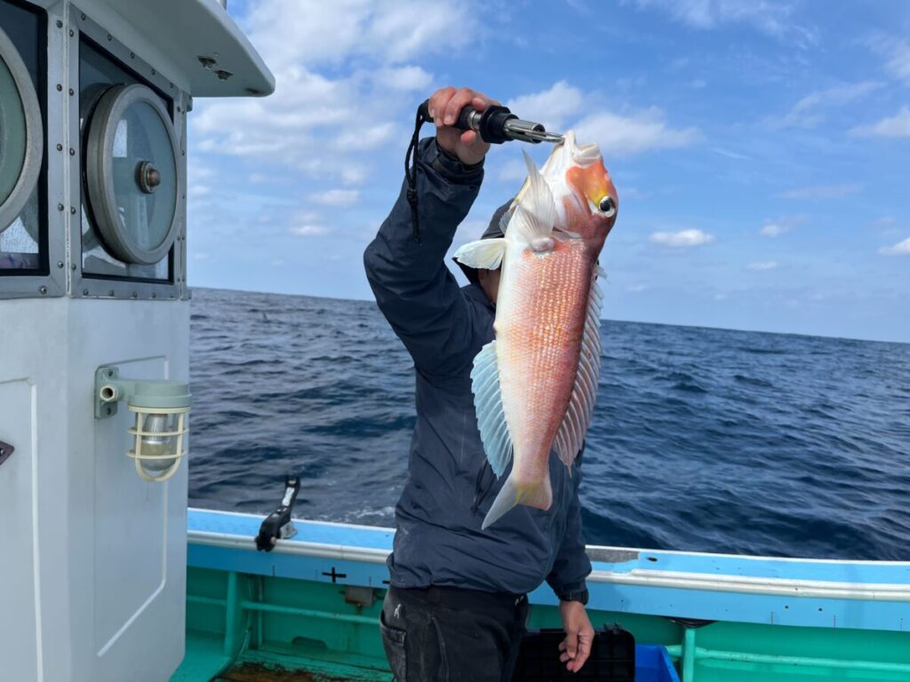 ボートに乗った人が、ピンクと白の大きな魚をグリッパーで掴み、海や曇り空を背景に顔を隠している。.