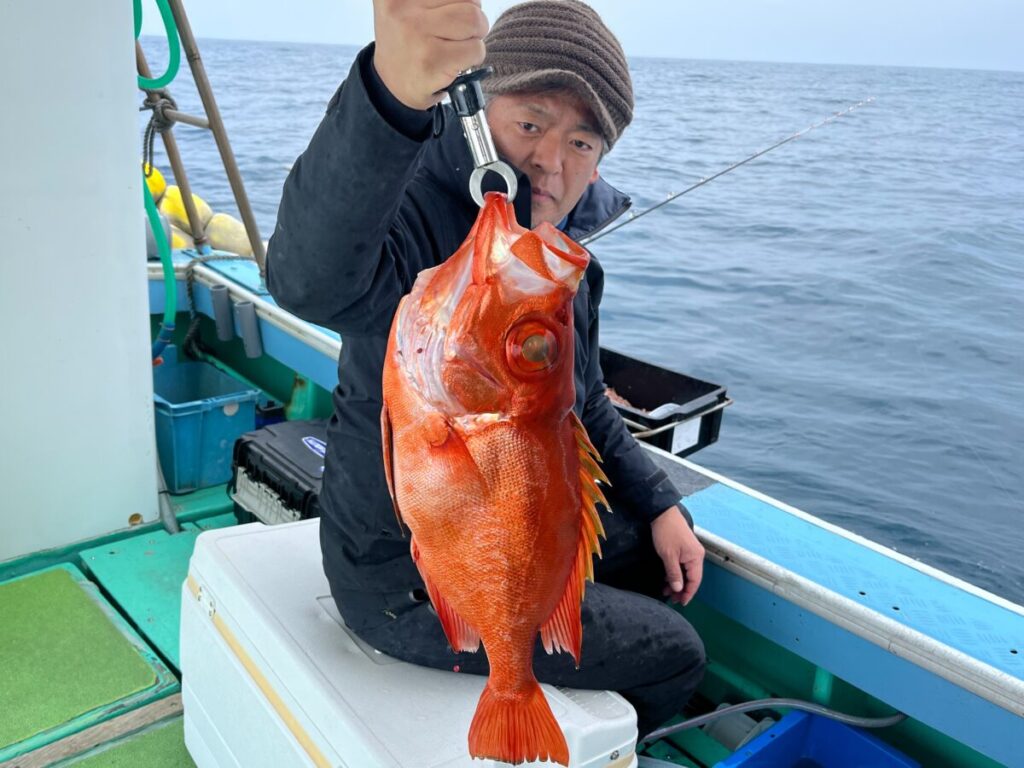 ボートに乗った人が、鮮やかなオレンジ色の大きな魚をつかむ道具で持ち上げる。背景には海と漁具が見える。.