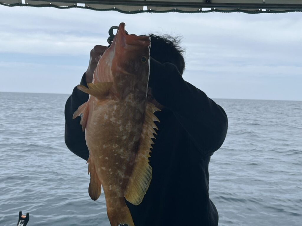 曇り空と海水を背景に、ボートに乗った人物がオレンジがかった茶色の大きな魚を掲げている。その魚は、人物の顔と上半身のほとんどを覆い隠すように、大きく掲げられている。.