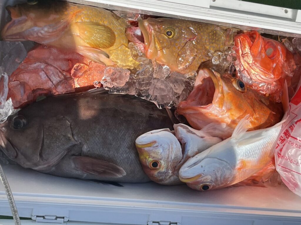 クーラーの底には、オレンジ、黄色、銀色のカラフルな魚や黒っぽい大きな魚など、獲れたてのさまざまな魚が氷の上で休んでいる。.