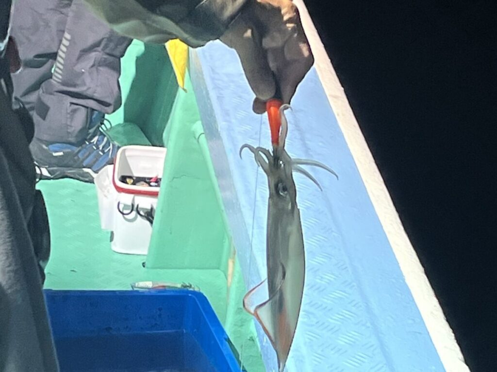夜、船上でオレンジ色のエギで釣りたてのイカを手にする人、近くには漁具と青い容器が見える。.