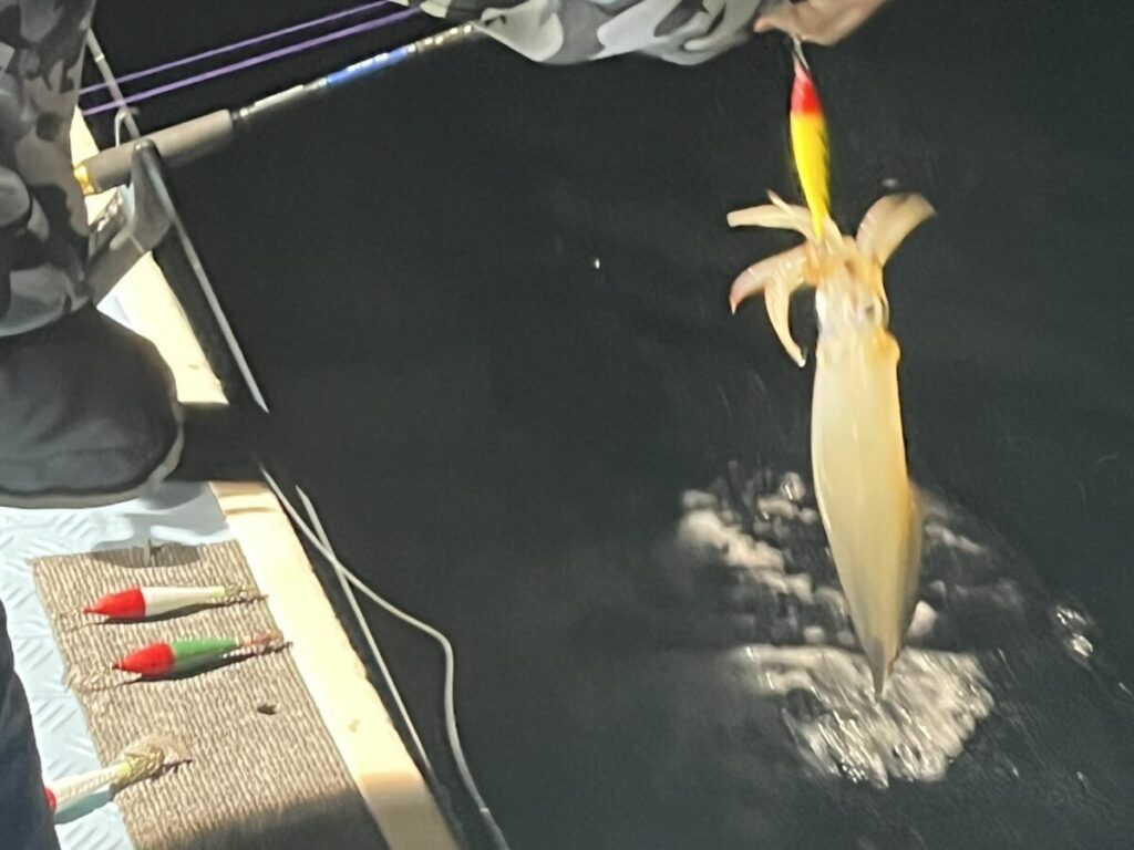 釣り竿を持った人が黄色と赤のエギでイカを釣り上げた。イカは一部水面から出ており、船のデッキには他のエギが見える。.