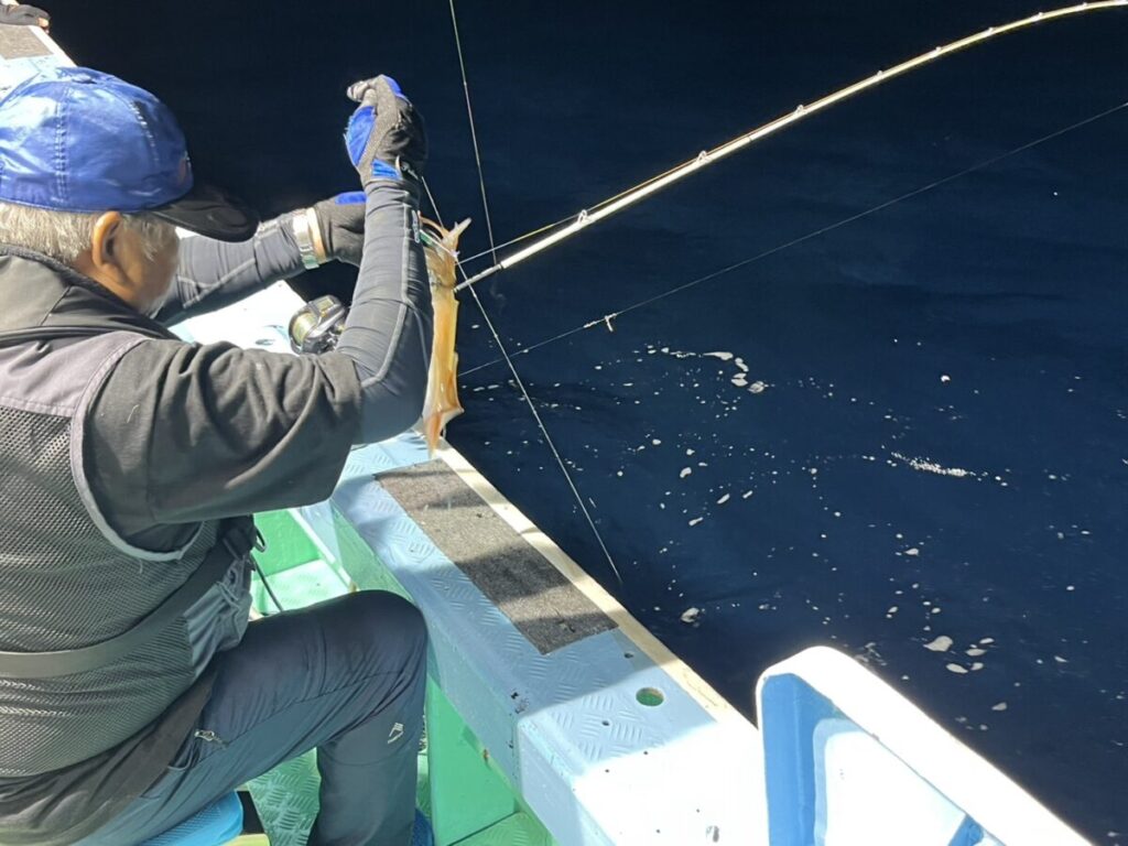 しなる竿でケンサキイカを引き上げる釣り客。若潮丸の夜焚きイカ釣り