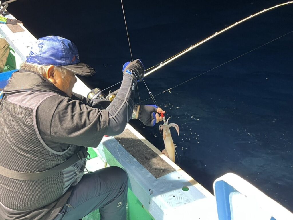 仕掛けに掛かったケンサキイカを取り込む釣り客。若潮丸の夜焚きイカ釣り